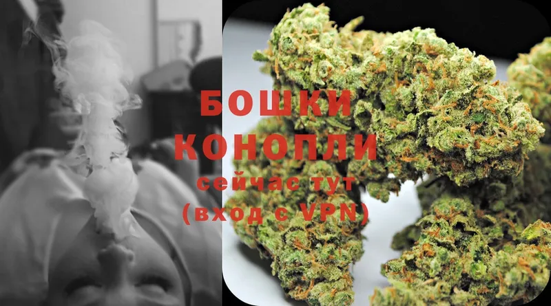 Бошки марихуана Ganja  kraken вход  shop клад  Суоярви 